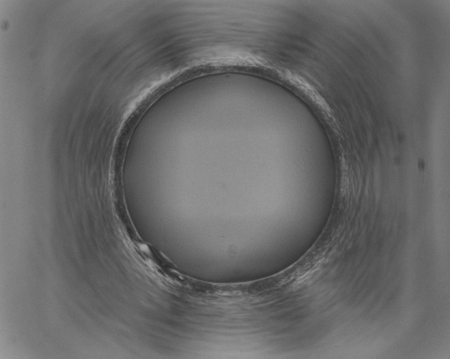 X0000060560391200512011647