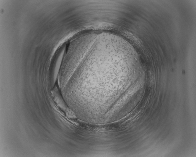 X0000060560392200512011647