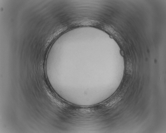 X0000060560394200512011647