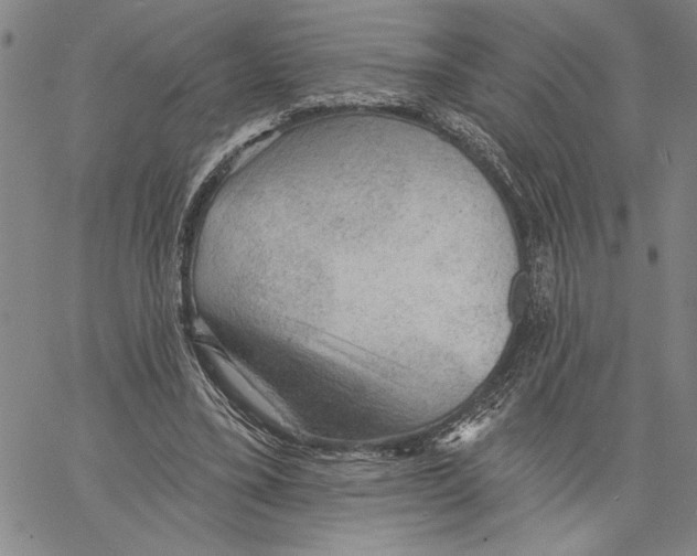 X0000060560395200512011647