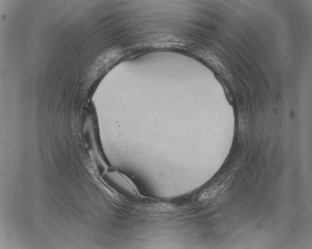 X0000060560397200512011647