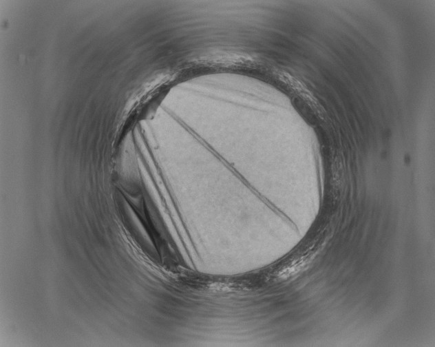 X0000060560399200512011647