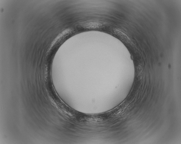 X0000060560400200512011647