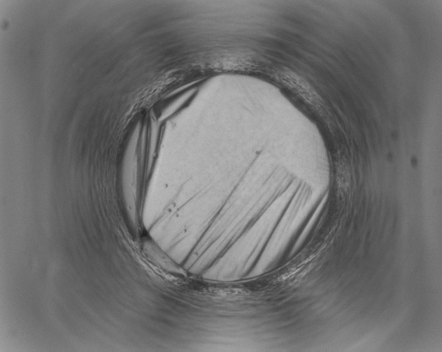 X0000060560401200512011647