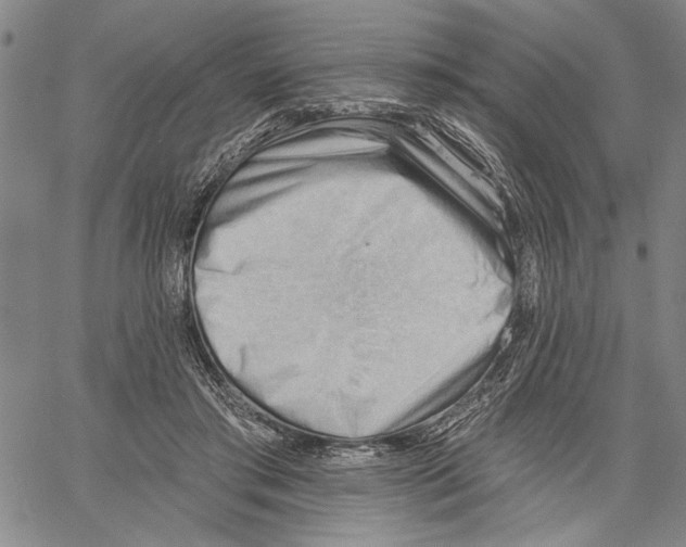 X0000060560405200512011647