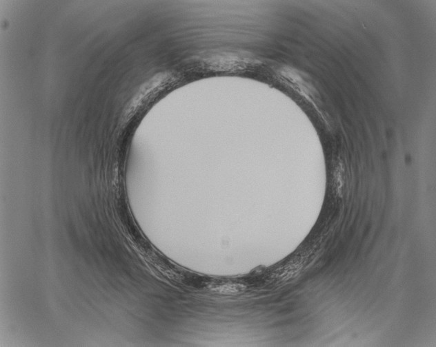 X0000060560407200512011647