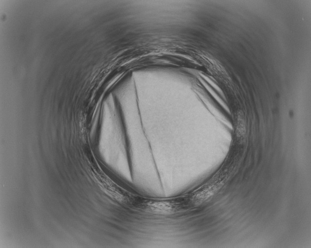 X0000060560409200512011647