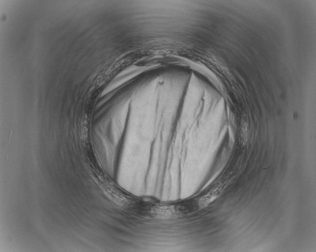 X0000060560413200512011647