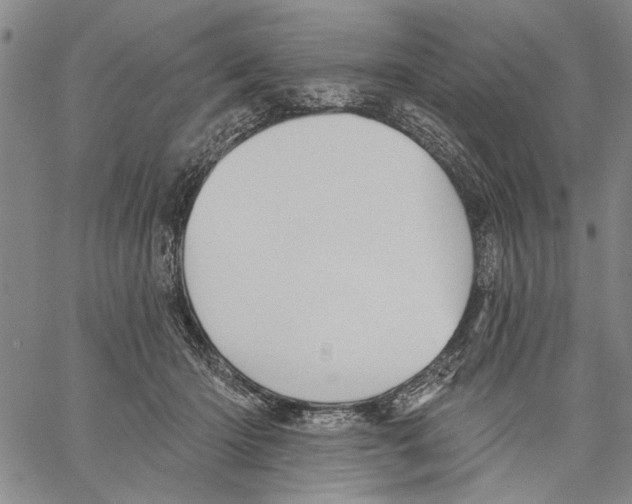 X0000060560414200512011647