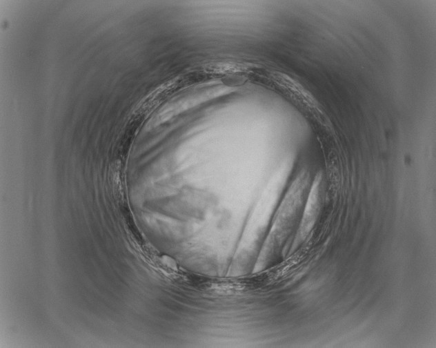 X0000060560415200512011647