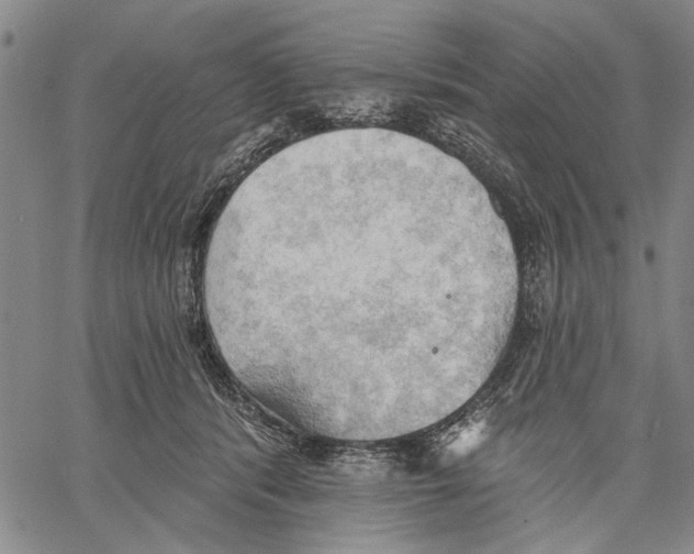 X0000060560416200512011647
