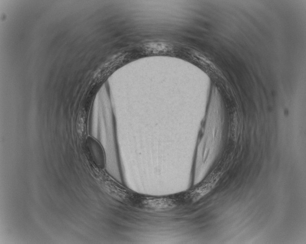 X0000060560417200512011647
