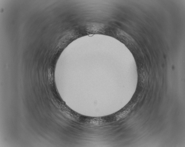 X0000060560420200512011647