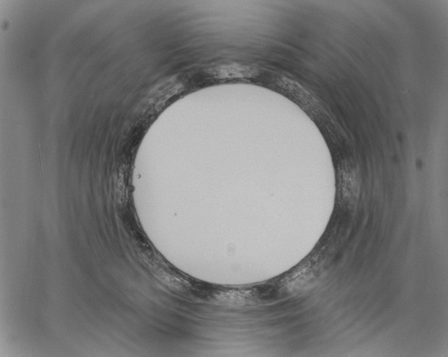 X0000060560422200512011646