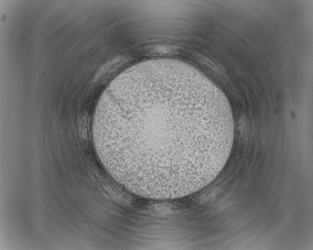 X0000060560423200512011646