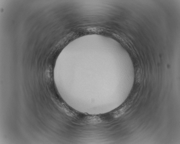 X0000060560424200512011646