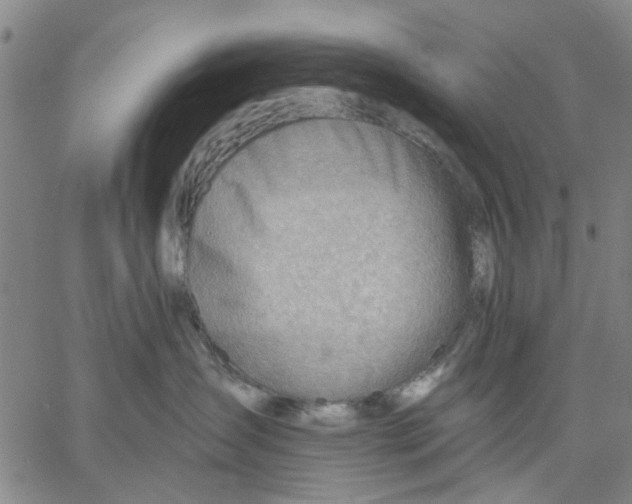 X0000060560431200512011646