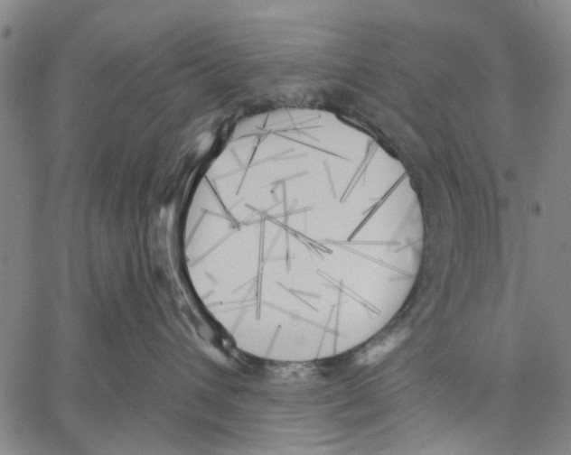 X0000060560432200512011646