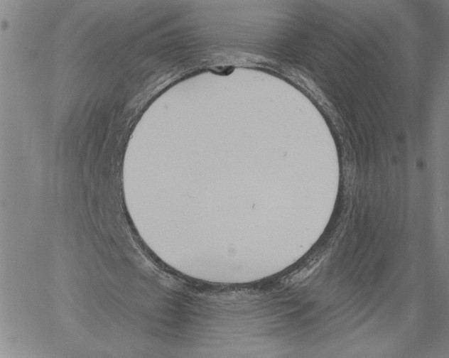 X0000060560433200512011646