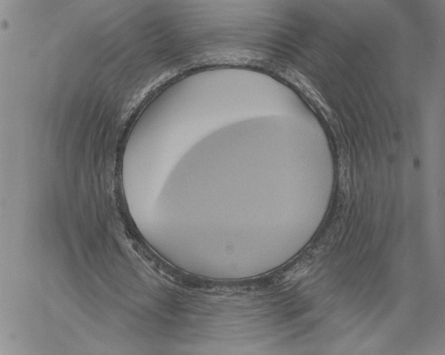 X0000060560434200512011646