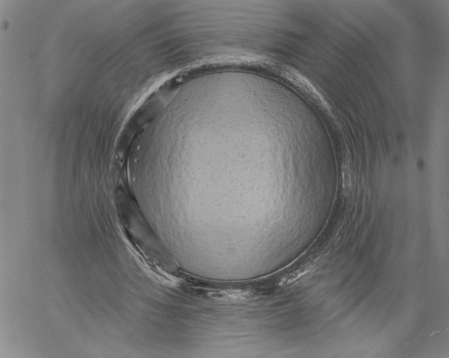 X0000060560436200512011646
