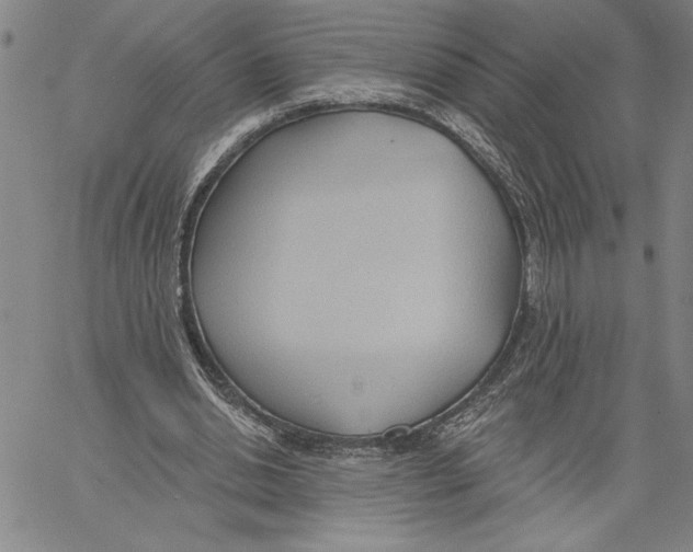 X0000060560438200512011646