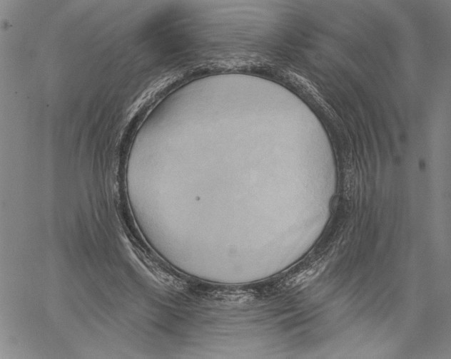 X0000060560443200512011646