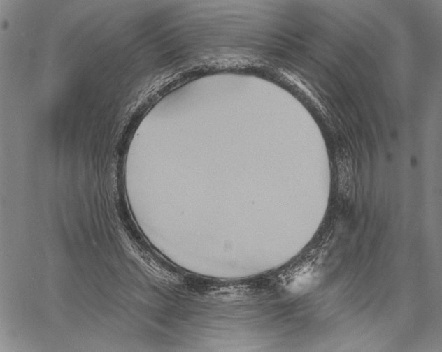 X0000060560447200512011646