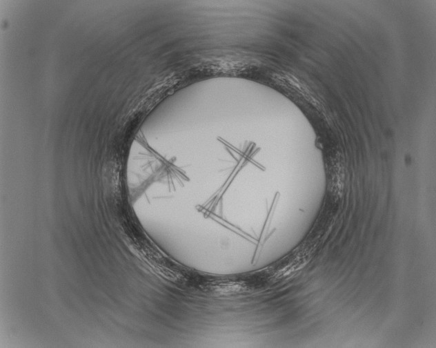 X0000060560456200512011646
