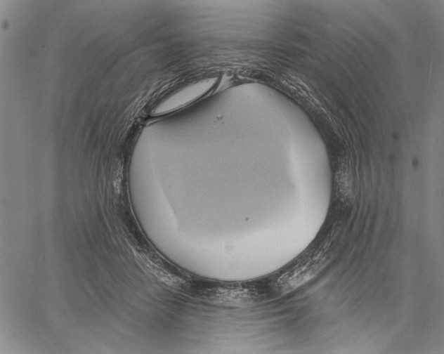 X0000060560458200512011646