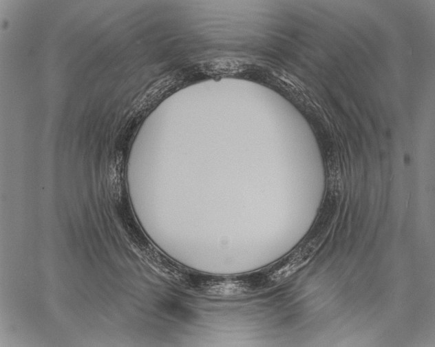 X0000060560460200512011646