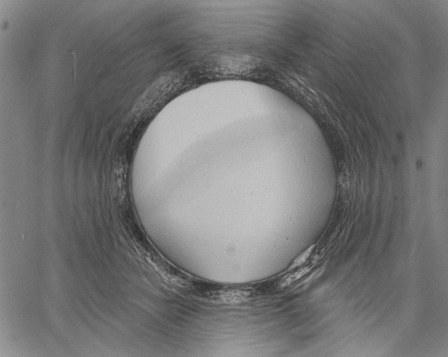 X0000060560462200512011646