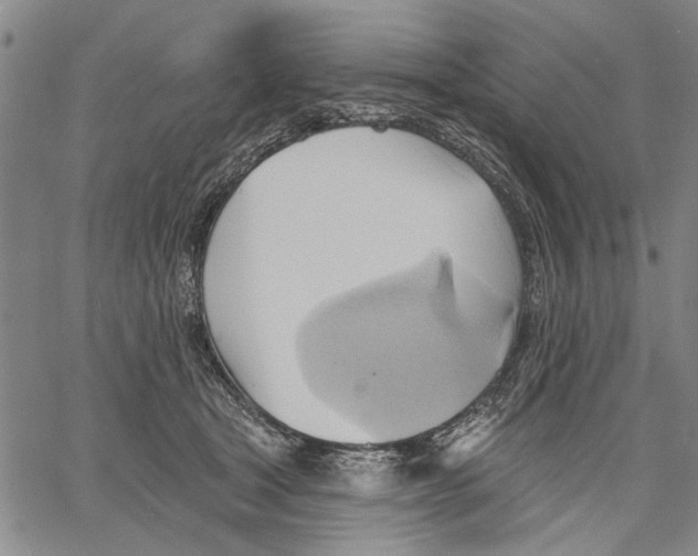 X0000060560465200512011646