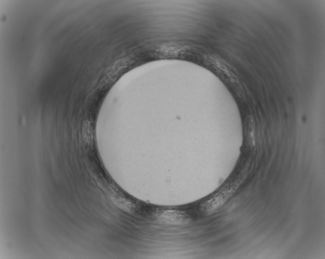 X0000060560467200512011646