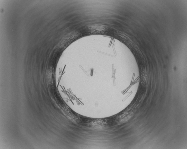 X0000060560468200512011646