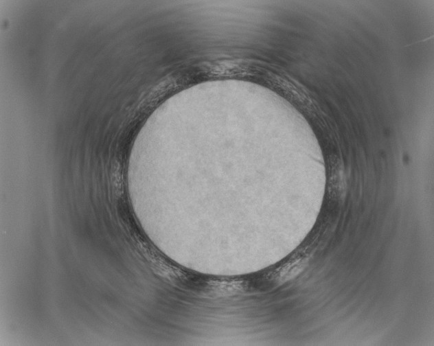 X0000060560469200512011646