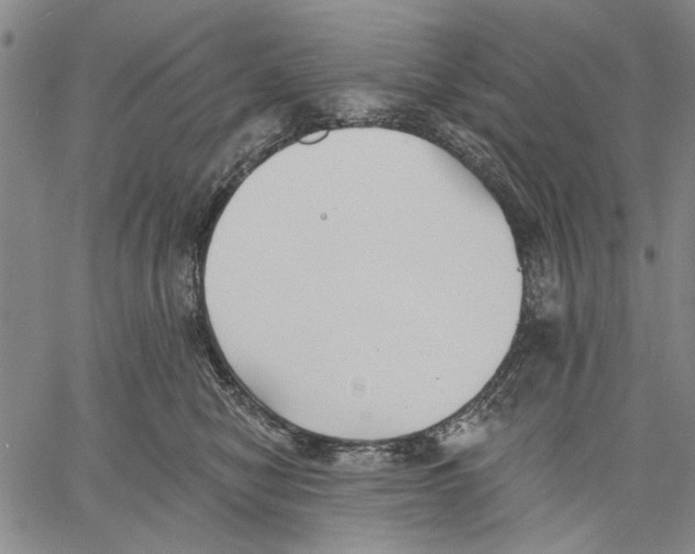 X0000060560470200512011646