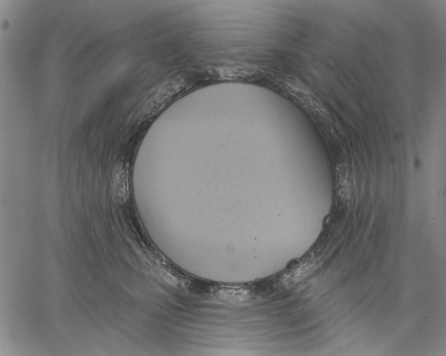 X0000060560471200512011646