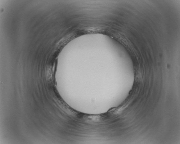 X0000060560478200512011646