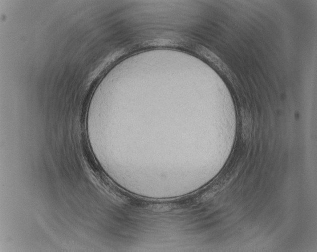 X0000060560482200512011645