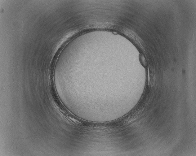 X0000060560483200512011645