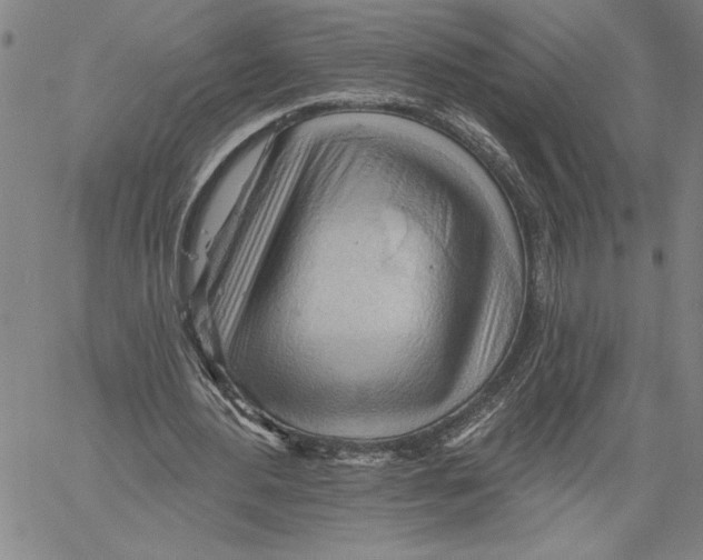 X0000060560484200512011645