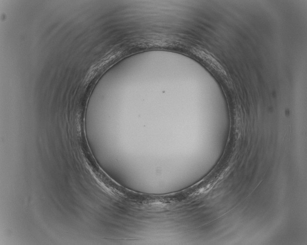 X0000060560489200512011645