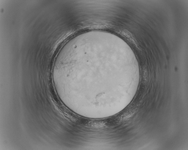 X0000060560491200512011645