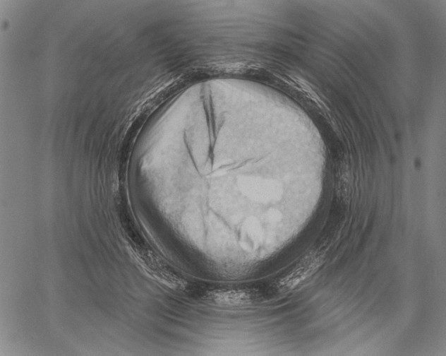 X0000060560500200512011645