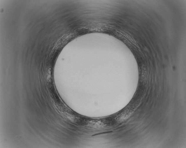 X0000060560502200512011645