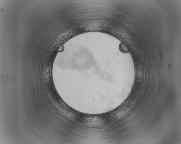 X0000060560503200512011645