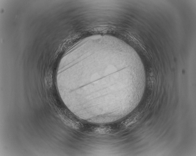 X0000060560504200512011645