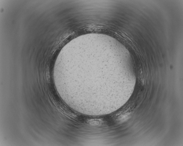 X0000060560508200512011645