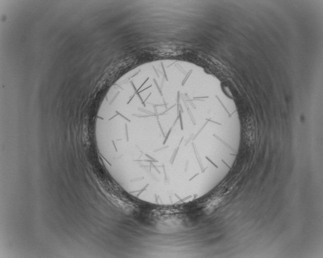 X0000060560512200512011645